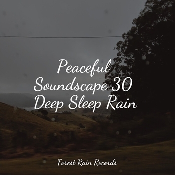 Pure Serenity Spa Music and Massage Collective Garden and Zen Relaxation Meditation, Massagem Guru, Oceanic Yoga Pros - Birds at Sunset (Peaceful Soundscape 30 Deep Sleep Rain 2022)