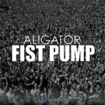Альбом Fist Pump DJ Aligator