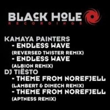 Kamaya Painters - Endless Wave (Albion Remix)