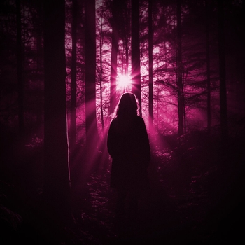 Mvrsxx, Cutevision - Not a Dream (Not A Dream 2025)