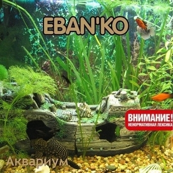 Ебанько - Фотография