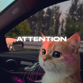 Rendow - Attention