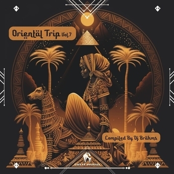Loai Shaker - Dahab Soul