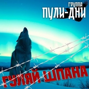Группа Пули-Дни - А на воле за дела