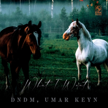 Dndm - What I Want