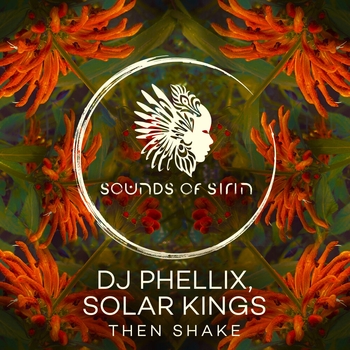 Dj Phellix - Shake Shake