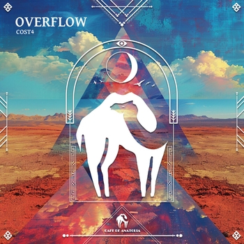 COST4 - Overflow