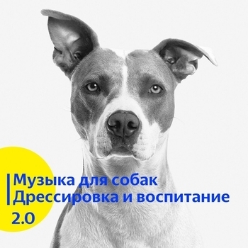 Альбом Музыка для собак. Дрессировка и воспитание 2.0 Vond Ace, Музыка для собак