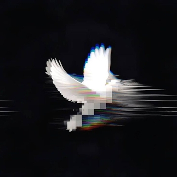 Альбом BLESSED FUNK Riversmelt