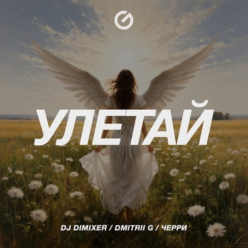 Dj DimixeR - Улетай