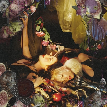 Chokecherry - Secrets