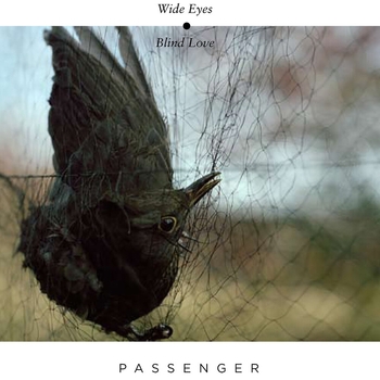 Passenger - Caravan