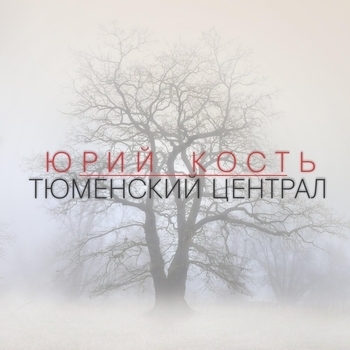 Юрий Кость - Милиция
