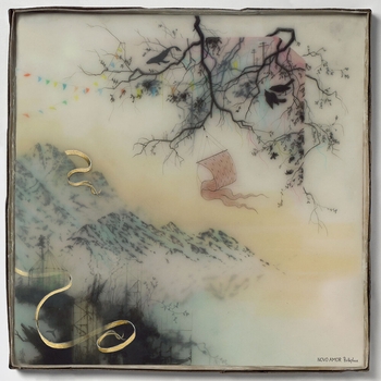 Novo Amor - 13494 (Birthplace 2017)