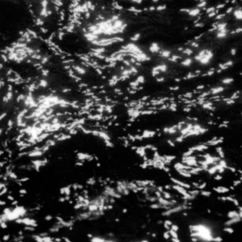 Grouper - Soul Eraser