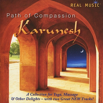 Karunesh - Dazzled By The Light