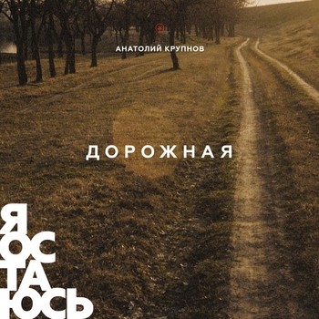 Анатолий Крупнов - Я остаюсь (OST из "Полярный") (2 Сезон) (акустическая версия)