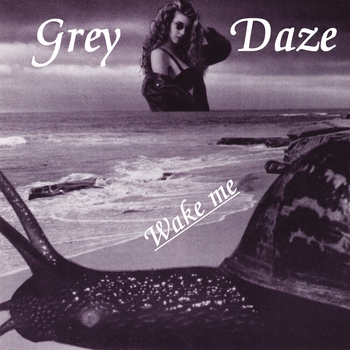 Grey Daze - Starting to Fly