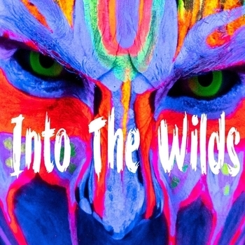 Альбом Into the Wilds Ebunny