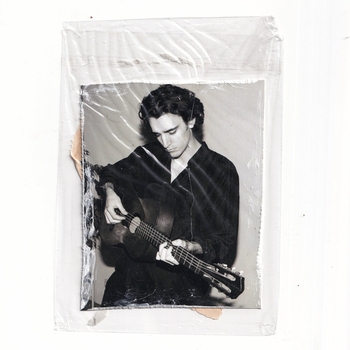 Tamino - Sunflower