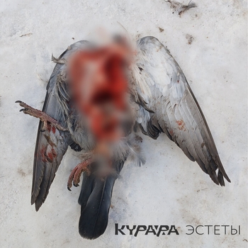 Курара - Мертвецы