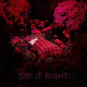 Organ feat Oneil, Favia - Say It Right