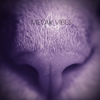 Phurs - Meow Vibes (Single 2021)