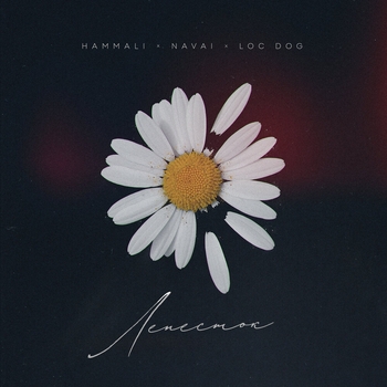 Loc-Dog and Hammali & Navai - Лепесток (2024)
