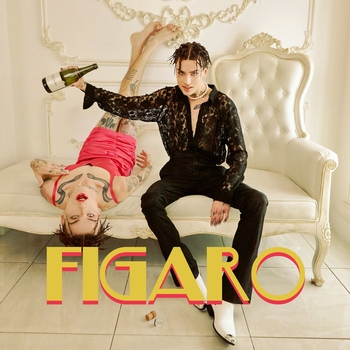Xolidayboy - Figaro