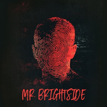 KANVISE - Mr. Brightside