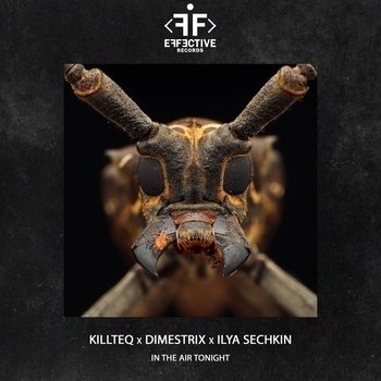 Killteq feat Dimestrix, Ilya Sechkin - In the Air Tonight (Новинки 2023)