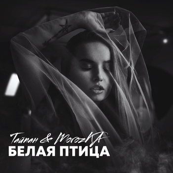 Morozka and Тайпан - Белая птица