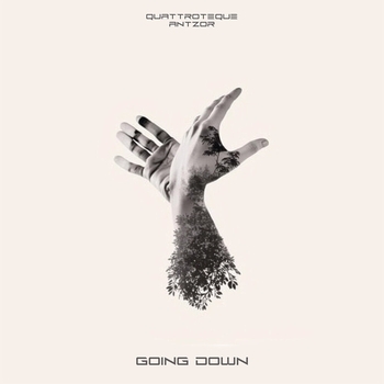 Quattroteque, Antzor - Going Down