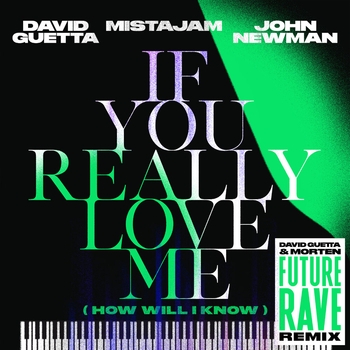David Guetta and Morten, John Newman, Mistajam - If You Really Love Me (How Will I Know) (Future Rave Remix Extended) (Single 2021)