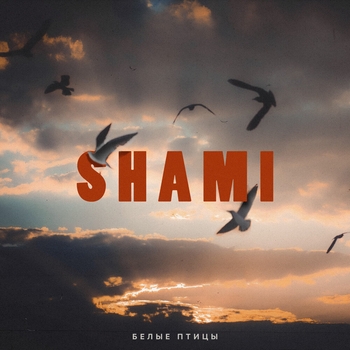 Shami - Белые птицы (Новинки 2022)