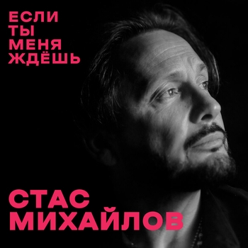 Стас Михайлов - Если ты меня ждёшь (2024)