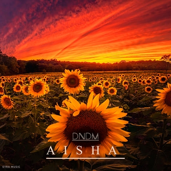 Dndm - Aisha (2023)