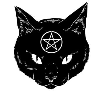 Sebalazi - Cat (Single 2022)