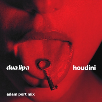 Dua Lipa - Houdini  [Extended] (Adam Port Mix)