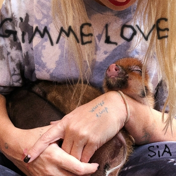 Sia - Gimme Love (Sped Up Version)