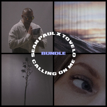 Sean Paul feat Tove Lo - Calling On Me (Karim Naas Remix) (2020)