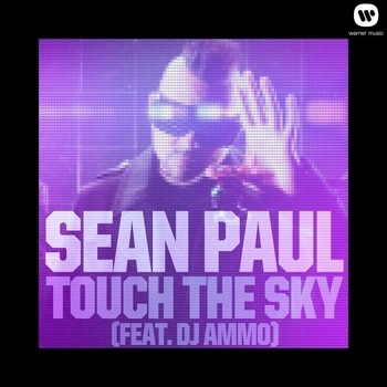 Sean Paul - She Doesn't Mind (Pitbull Remix)