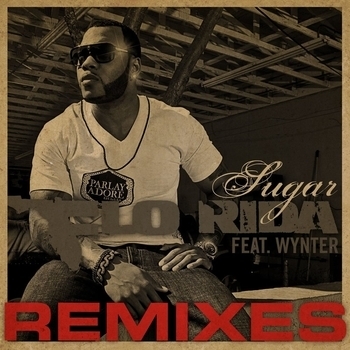 Flo Rida - Sugar (feat. Wynter) (Mondotek radio edit) (Remixes 2009) (Mondotek Remix Edit; feat. Wynter)
