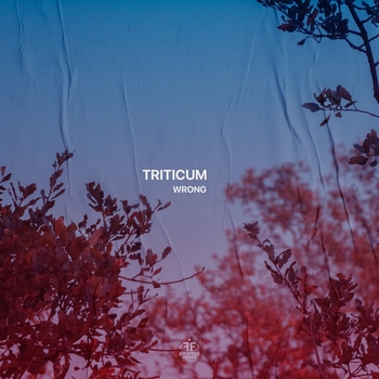 Triticum - Wrong (2024)