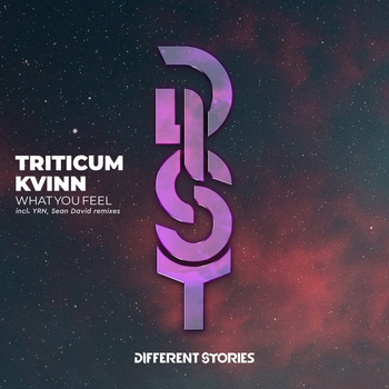 Triticum feat Kvinn - What You Feel (Yrn Remix) (Single 2020) (YRN Remix)