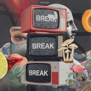 Triticum - Break
