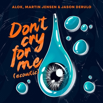 Alok - Don't Cry For Me (Acoustic)