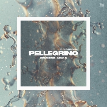 Max N, Dinamixx - Pellegrino
