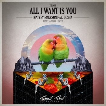 Mark Lower and Matvey Emerson, Gosha - All I Want Is You (Mark Lower Day Vision Remix) (2015) (Mark Lower Day Vision Remix)