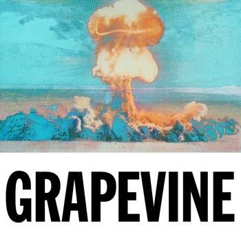 Tujamo and Tiesto - Grapevine (Tujamo Remix)